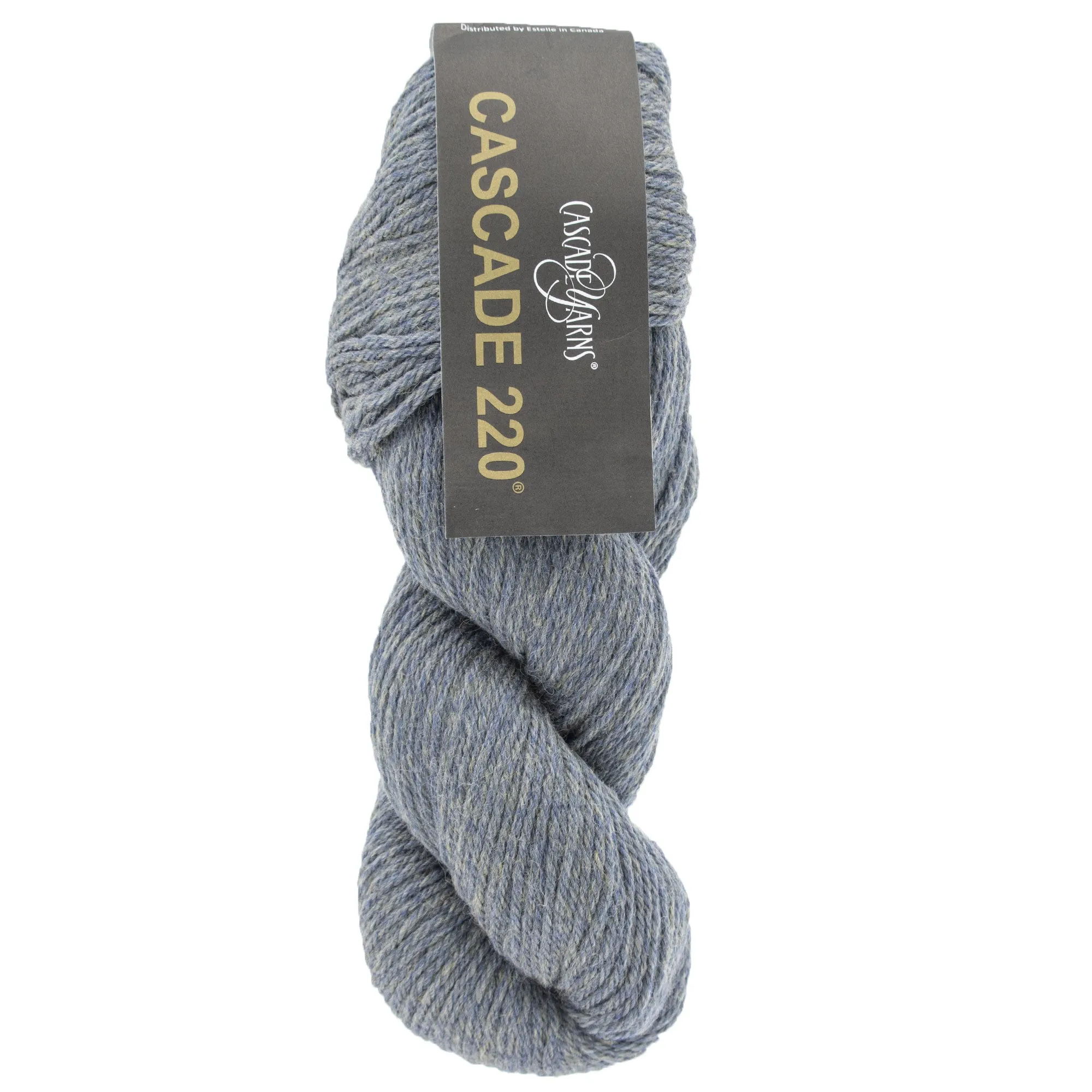 Cascade 220 Yarn - 1081 Coast Heather